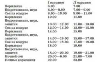Режим для 6-месячного ребенка на грудном вскармливании