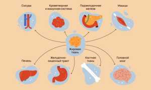 Как диабет влияет на суставы и здоровье?