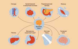 Как диабет влияет на суставы и здоровье?