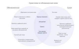 В чем разница между сухостью и обезвоженностью кожи: важные аспекты