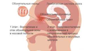 Аносмия: причины и лечение, советы специалистов