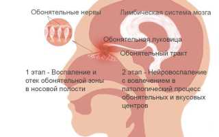 Аносмия: причины и лечение, советы специалистов