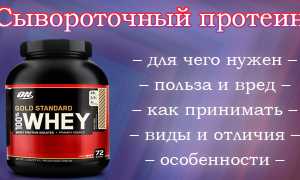 Сывороточный протеин (Whey Protein): чем он полезен для здоровья?