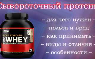 Сывороточный протеин (Whey Protein): чем он полезен для здоровья?