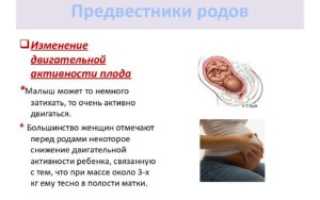 Активность плода перед родами