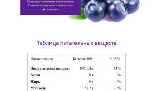 7 научно обоснованных полезных свойств черники для здоровья