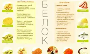 Белковая диета и ее особенности, как и чем питаться для достижения результатов