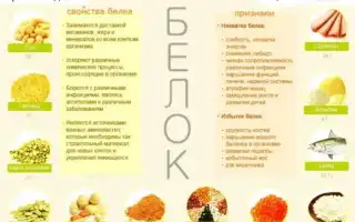 Белковая диета и ее особенности, как и чем питаться для достижения результатов