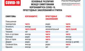 Грипп и коронавирус: в чем различия и особенности?