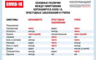 Грипп и коронавирус: в чем различия и особенности?