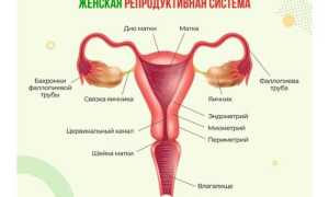 Почему развивается женское бесплодие? Важные аспекты и причины