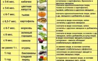 Со скольки месяцев можно давать овощное пюре ребенку