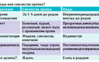 После отхождения пробки через сколько воды отходят