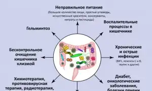 Дисбактериоз кишечника: лечение после антибиотиков у взрослого, рекомендации и советы