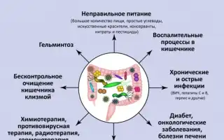 Дисбактериоз кишечника: лечение после антибиотиков у взрослого, рекомендации и советы