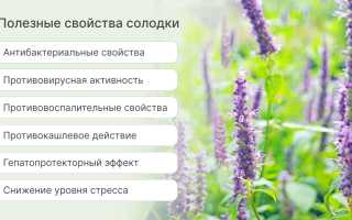 Какими полезными свойствами обладает корень солодки для здоровья