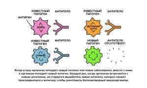 Как можно уничтожить вирус: обзор средств и методов для защиты здоровья