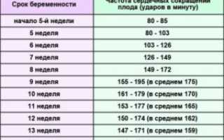 Сердцебиение ребенка при беременности