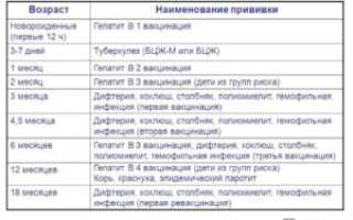 Привики в 3 месяца