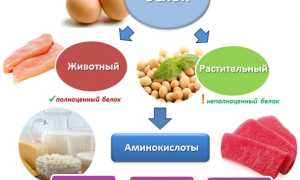 Зачем организму нужны белки и сколько их употреблять для здоровья?