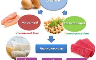 Зачем организму нужны белки и сколько их употреблять для здоровья?