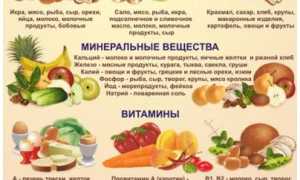 Диета без мяса и молока, её особенности, как правильно питаться для здоровья