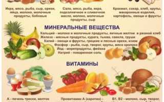 Диета без мяса и молока, её особенности, как правильно питаться для здоровья