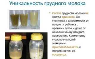 Закончила кормить когда перегорит молоко