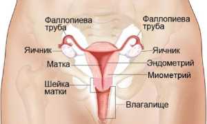 Почему у женщин болят яичники? Причины и последствия