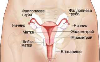 Почему у женщин болят яичники? Причины и последствия