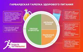 Нужно ли считать калории в каждой порции? Мнение гарвардских диетологов и их рекомендации