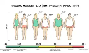 Здоровый вес против «счастливого» веса. Где истина и как ее найти?