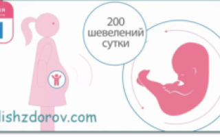 Шевеление на 21 недели