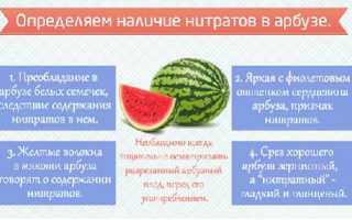 Как определить нитратный арбуз: 5 верных признаков для здоровья