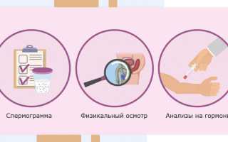 Анализы на гормоны для мужчин при планировании беременности: важные аспекты здоровья