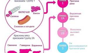 Вред и польза красного мяса. Вызывает ли оно рак толстой кишки? Мнение экспертов