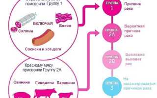 Вред и польза красного мяса. Вызывает ли оно рак толстой кишки? Мнение экспертов
