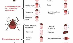 Болезнь Лайма — что это такое и как с ней бороться?