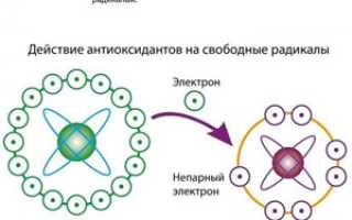 Как работают антиоксиданты и что это такое в нашем организме