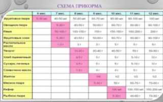 Прикорм 7 месячного ребенка