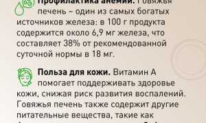 Полезна ли печень для здоровья и благополучия?