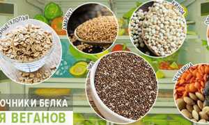 15 лучших вегетарианских источников белка для здоровья