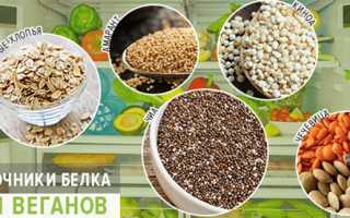15 лучших вегетарианских источников белка для здоровья