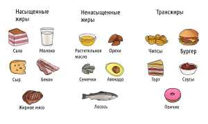 10 жирных продуктов, которые на самом деле полезны для здоровья и благополучия