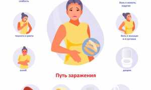 Сальмонеллез у человека и его основная опасность для здоровья