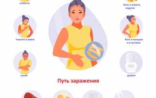 Сальмонеллез у человека и его основная опасность для здоровья