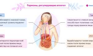 Причины потери аппетита у взрослых и детей