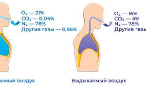 Что будет, если дышать углекислым газом? Узнайте последствия для здоровья