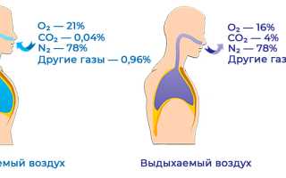 Что будет, если дышать углекислым газом? Узнайте последствия для здоровья