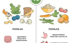 Продукты, богатые клетчаткой: список самых полезных для здоровья